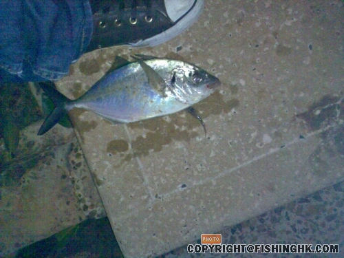 碼頭邊釣架,ng知乜嚟