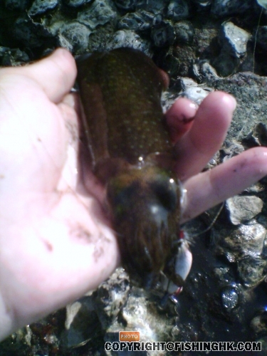 200803241607_00029.jpg