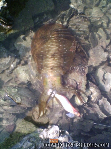 200803241554_00027.jpg