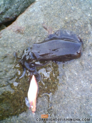 200803241456_00014.jpg