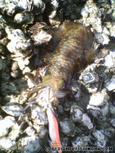 200803241521_00025.jpg