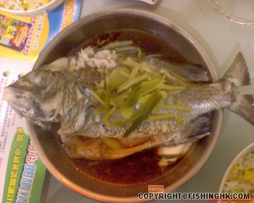 食屎