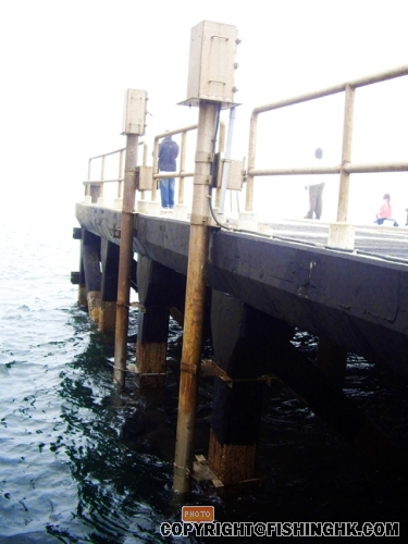 IMGP2303.JPG