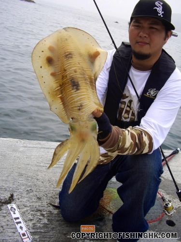 IMGP2320.JPG