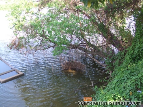 DSCF2387.JPG