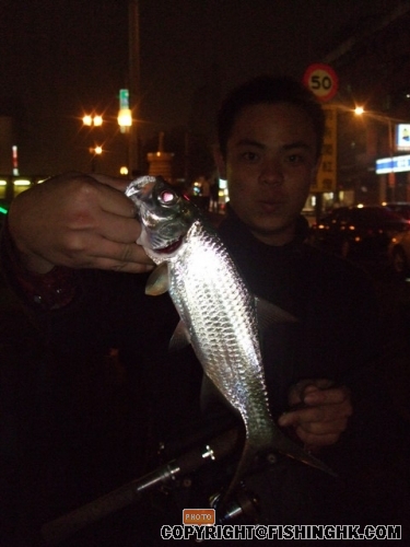 DSCF0300_resize.JPG