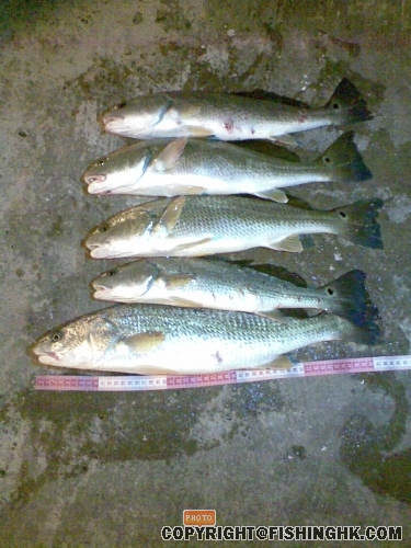 相片2 014.jpg