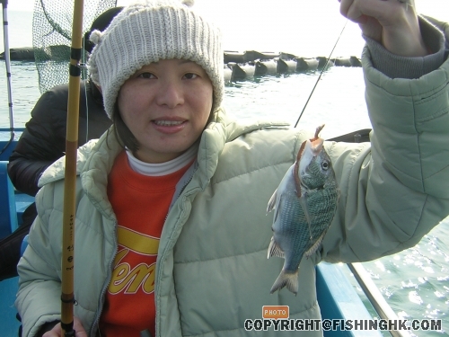 DSCN4239.JPG
