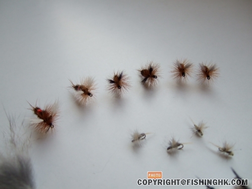 DSCF2076.JPG