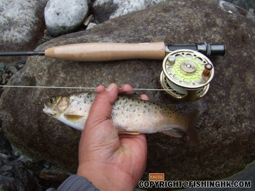 DSCF2127.JPG