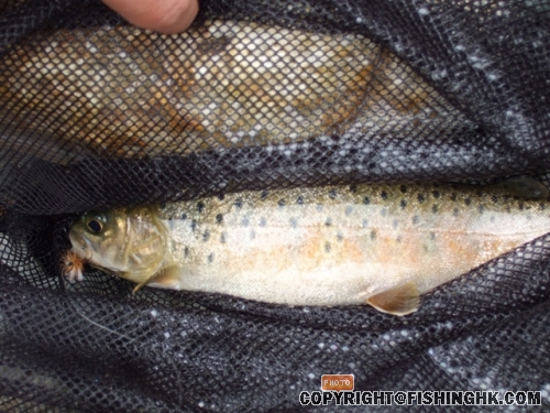 DSCF3191.JPG