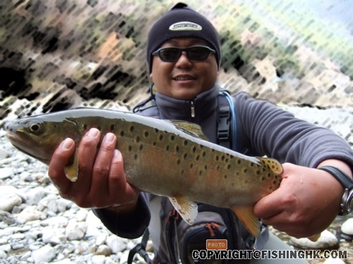 DSCF0792A.jpg
