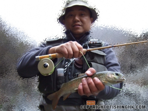 DSCF2114A.jpg