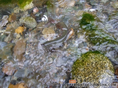 DSCF2104.JPG