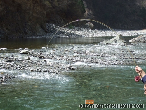 DSCF3271.JPG