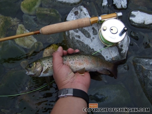DSCF2111.JPG