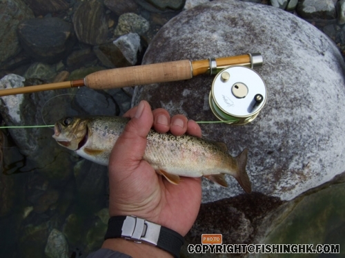DSCF2134.JPG