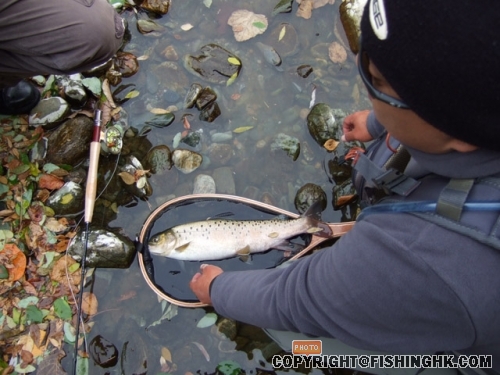 DSCF0793.jpg