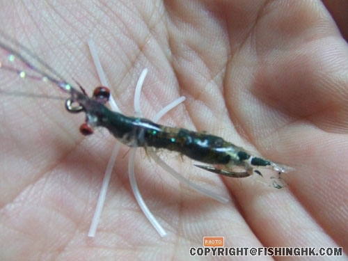 DSCF2395.JPG