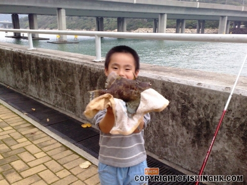 沙孟一條