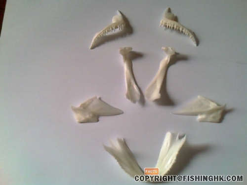 IMAG0093.jpg