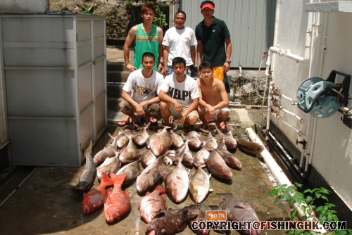 部份魚獲hehe