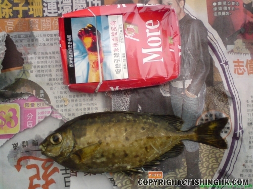 DSC00743.JPG