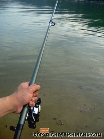 S7001810.JPG