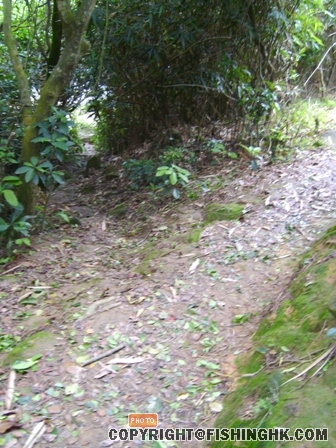 S7001780.JPG