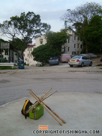 S7001812.JPG