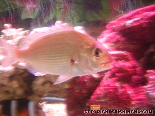 DSCN4268.JPG