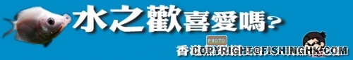 fbanner.jpg