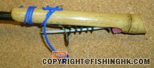 S7001829.JPG