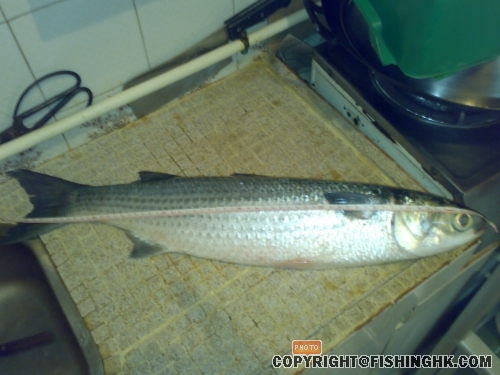 20080425260.jpg