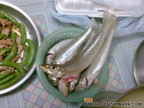 圖像033.jpg