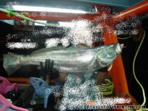 DSC00267~1.JPG