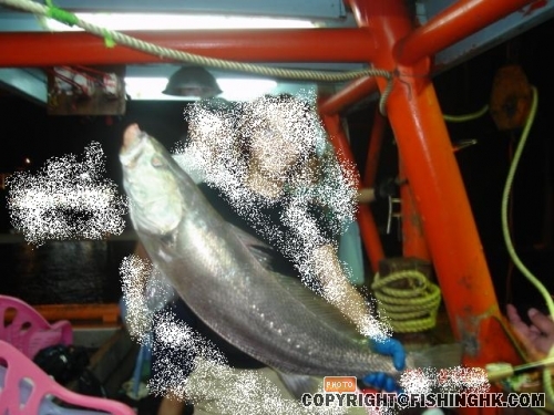 DSC00265~2.JPG
