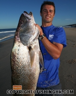 mulloway_kalbarri.jpg