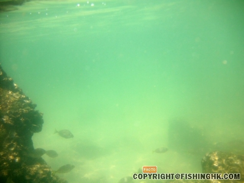 PICT0082.JPG