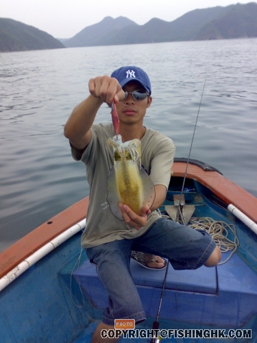 20080511873.jpg