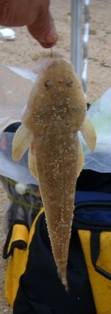 10.JPG