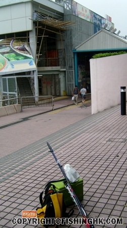 1.JPG