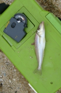 7.JPG