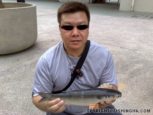 200805160066.jpg