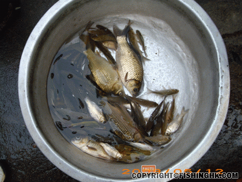 IMG_0105.gif