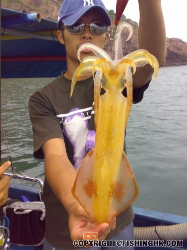 20080518890.jpg