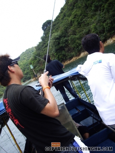 IMGP2955.JPG