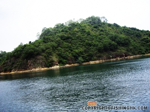 IMGP2957.JPG