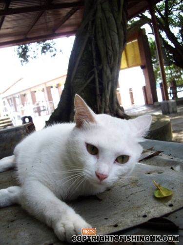 IMGP2999.JPG