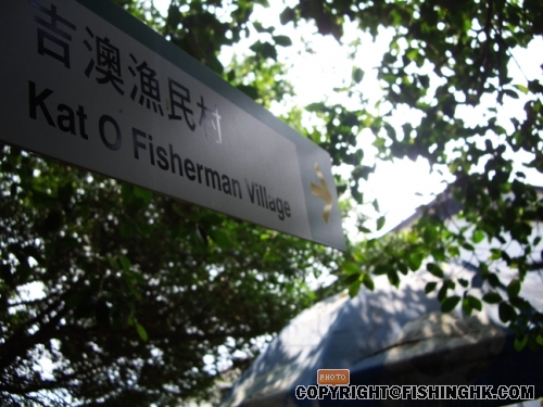 IMGP3012.JPG